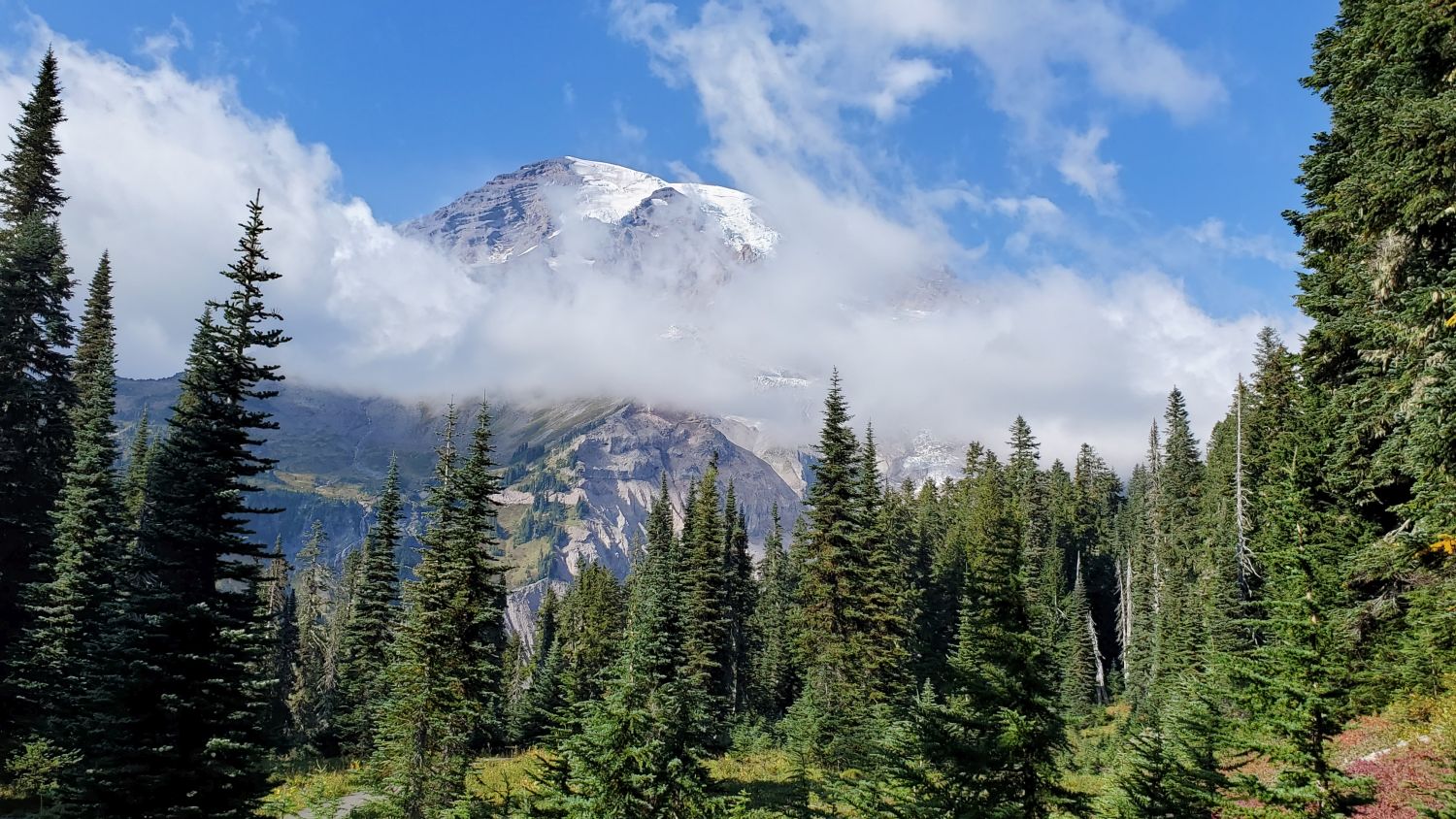 Mount Rainier NP 